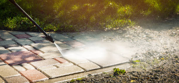 Best Fence Cleaning  in Delevan, NY